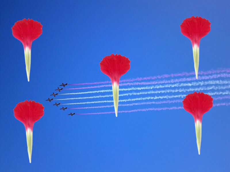 Flores por aviones por la paz.