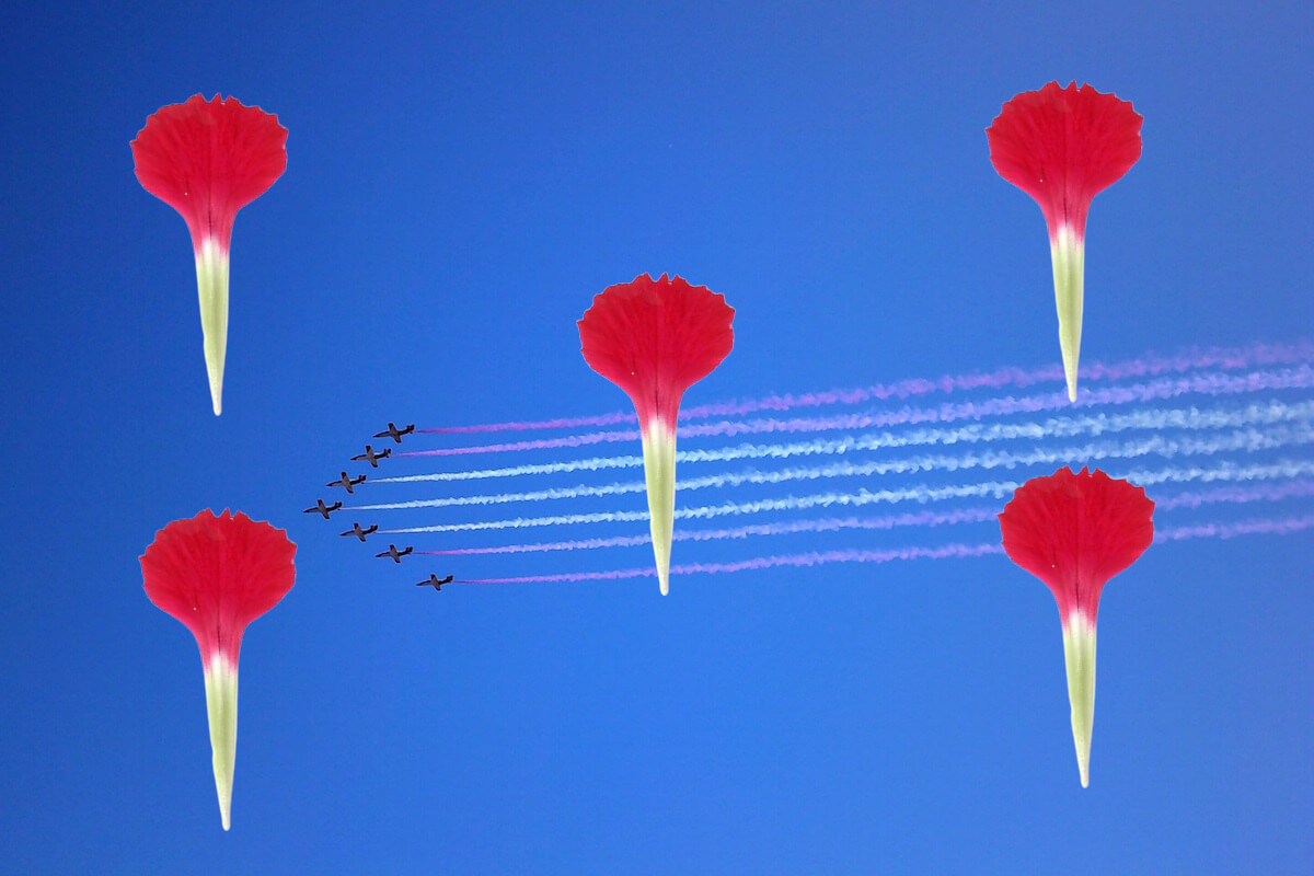 Flores por aviones por la paz.
