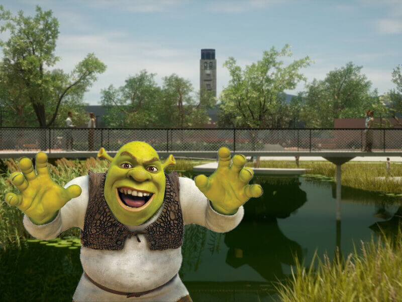 Shrek en el humdeal lagunero.