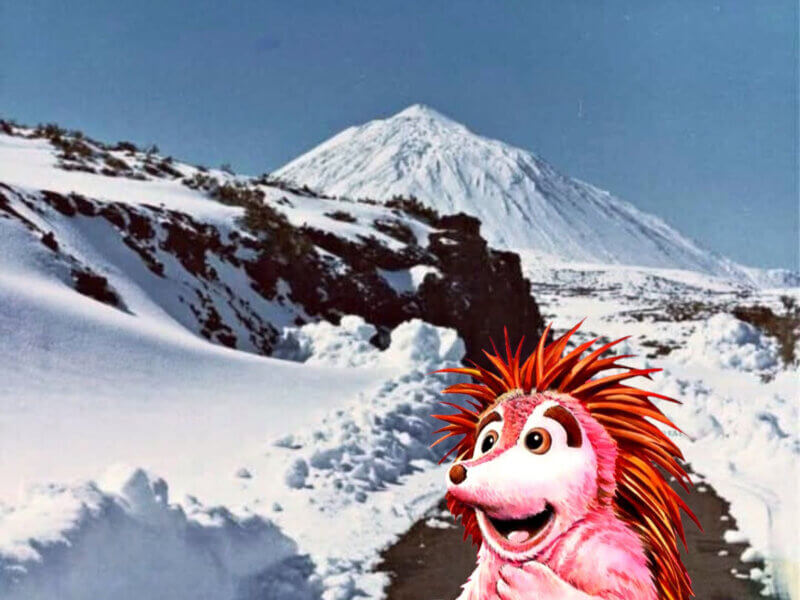 Espinete en las Cañadas